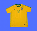 Brasil Local - 2010