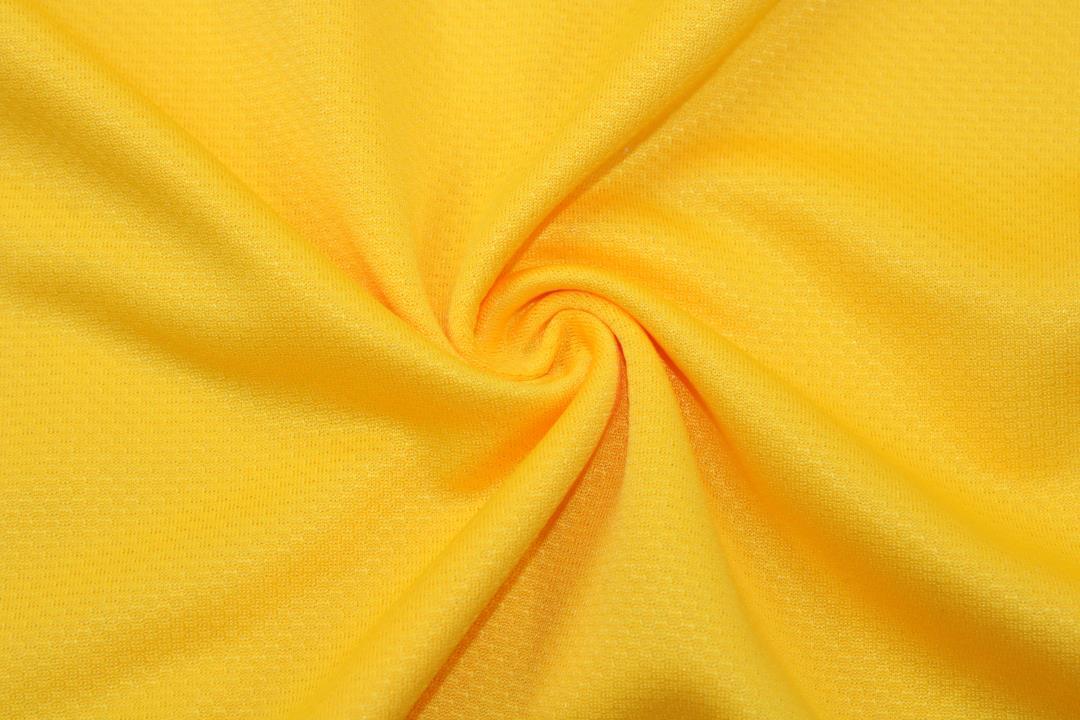 Brasil Local - 2010