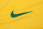 Brasil Local - 2010