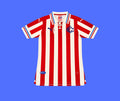 Chivas Local - 110th aniversario